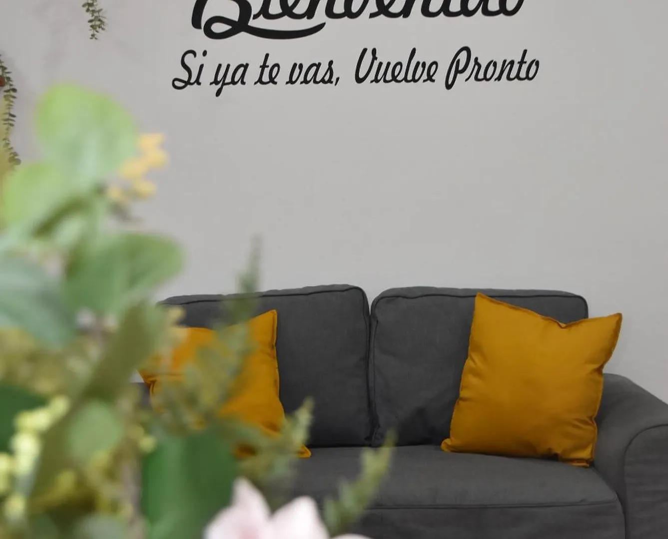 La Vinita En Icod De Los Vinos 0*,  Španělsko